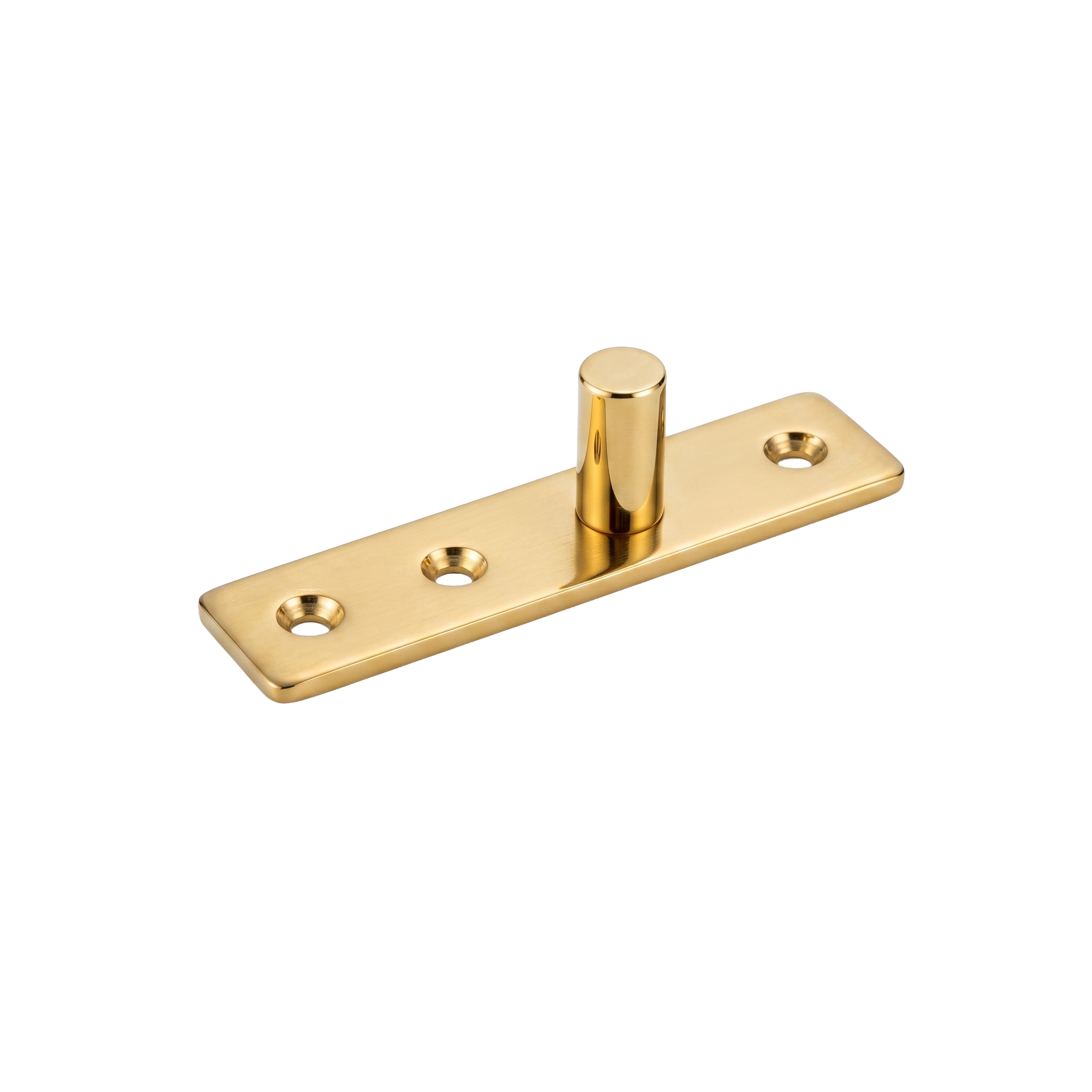 DORMAN® Top Pivot – Gold PVD (AISI 304)