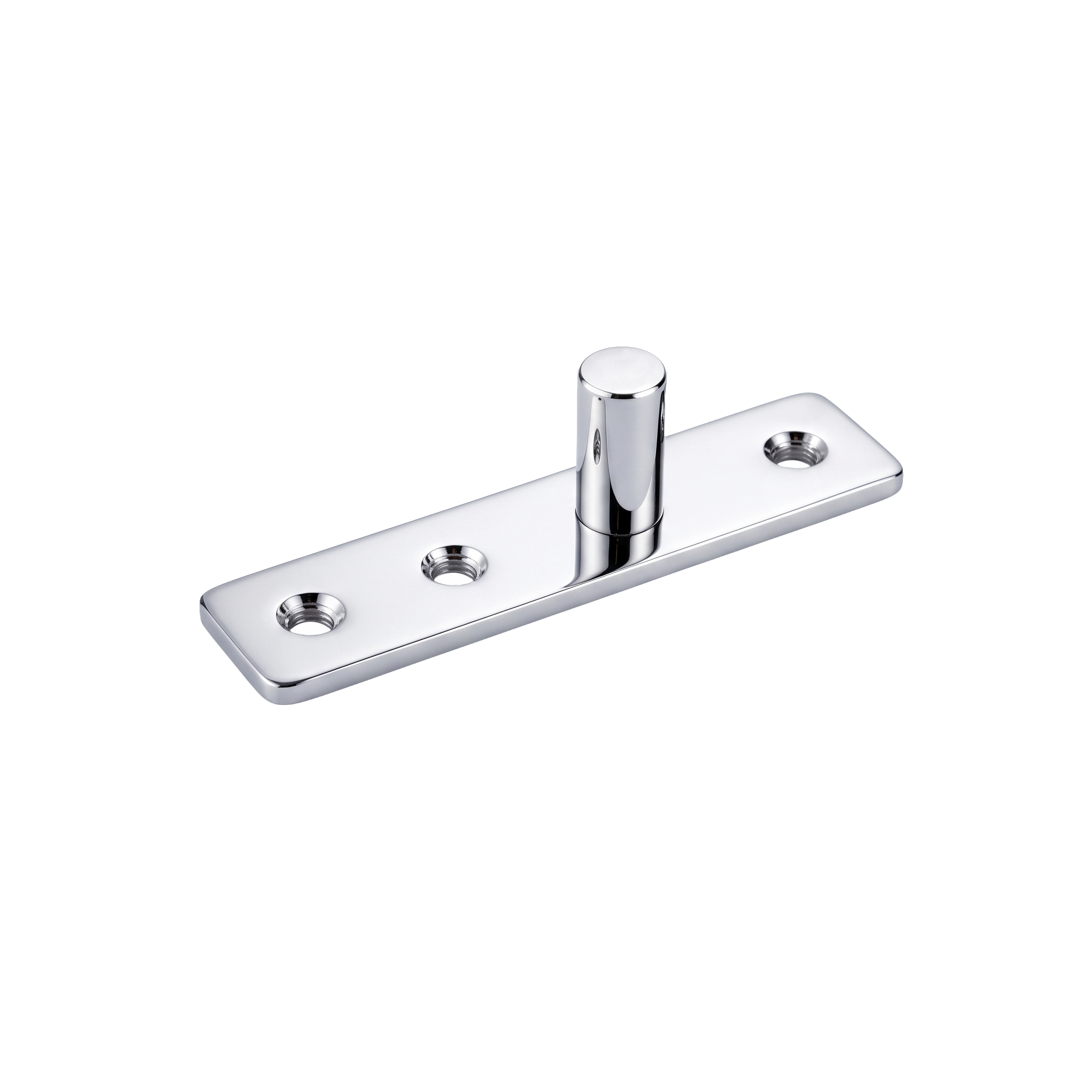 Dorman® Top Pivot – Polished Stainless Steel (AISI 304)