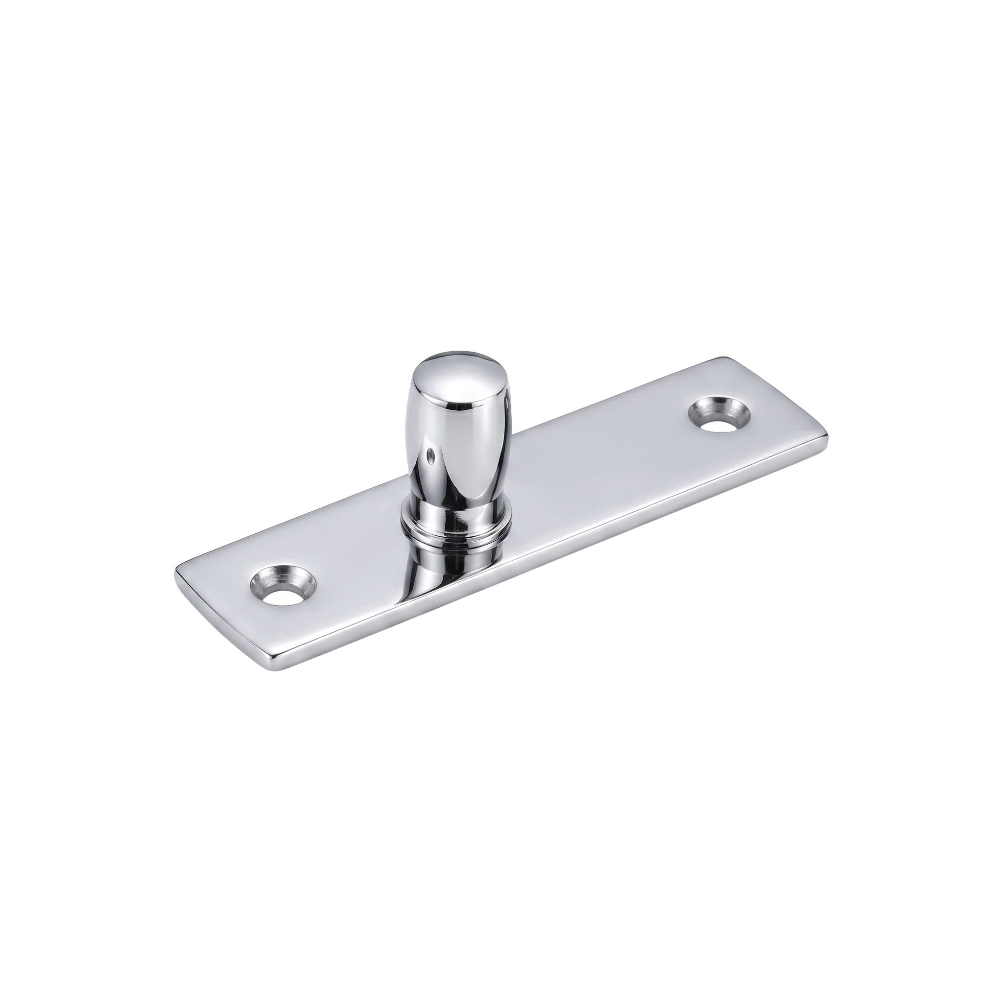 DORMAN® Top Pivot – Polished Stainless Steel (AISI 304)